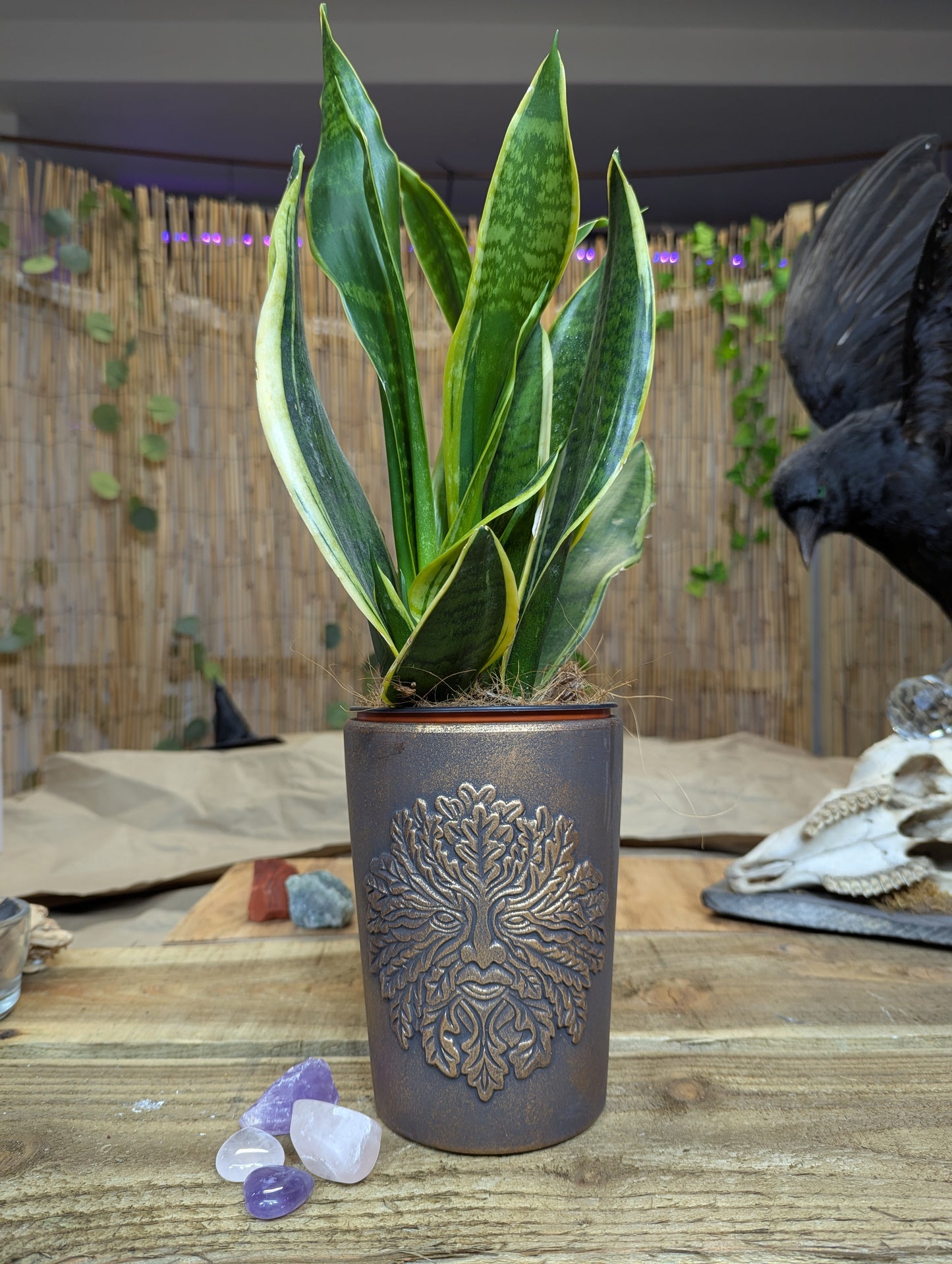 Bronze Plant Pot (green man)