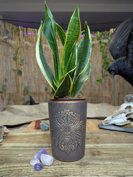 Bronze Plant Pot (green man)